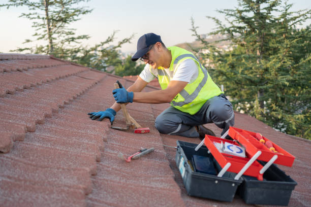 Best Roof Moss and Algae Removal  in Maryville, TN